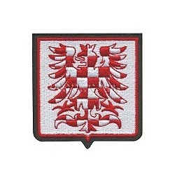 Nášivka 22. ZVL NÁMĚŠT nad OSLAVOU, barevná