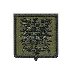 Nášivka 22. ZVL NÁMĚŠT nad OSLAVOU, polní