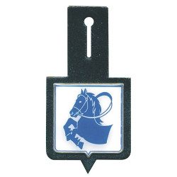 KAPSOVÝ ODZNAK - Pardubice